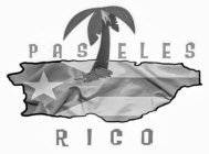 PASTELES RICO