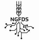 NGFDS