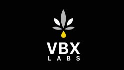 VBX LABS