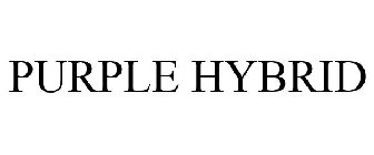 PURPLE HYBRID