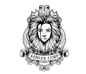 AEHLEX CORP