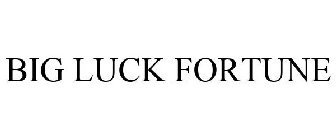 BIG LUCK FORTUNE