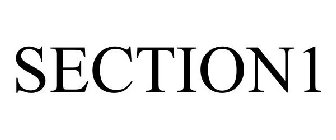 SECTION1