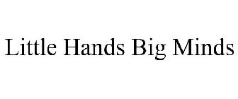 LITTLE HANDS BIG MINDS