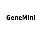 GENEMINI