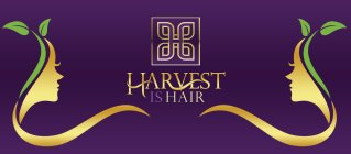 HARVEST IS HAIR H