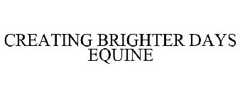 CREATING BRIGHTER DAYS EQUINE
