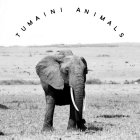 TUMAINI ANIMALS