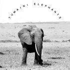 TUMAINI ELEPHANTS