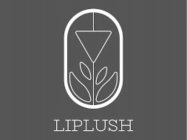 LIPLUSH