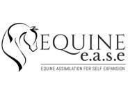 EQUINE E.A.S.E. EQUINE ASSIMILATION FOR SELF EXPANSION