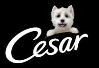 CESAR