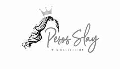 PESOS SLAY WIG COLLECTION