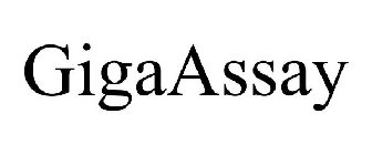 GIGAASSAY