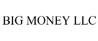 BIG MONEY LLC