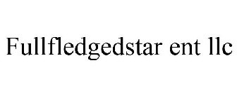 FULLFLEDGEDSTAR ENT LLC