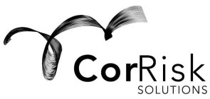 CORRISK SOLUTIONS