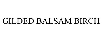 GILDED BALSAM BIRCH