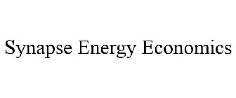 SYNAPSE ENERGY ECONOMICS