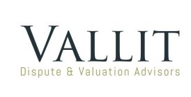 VALLIT DISPUTE & VALUATION ADVISORS
