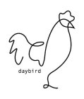 DAYBIRD