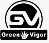 GV GREEN VIGOR