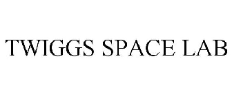 TWIGGS SPACE LAB