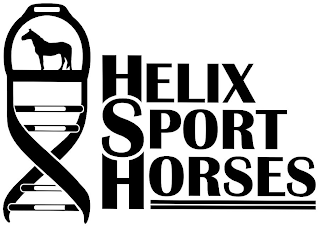 HELIX SPORT HORSES