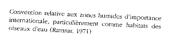 CONVENTION RELATIVE AUX ZONE HUMIDES D'IMPORTANCE INTERNATIONALE, PARTICULIEREMENT COMME HABITATS DES OISEAUX D'EAU (RAMSAR, 1971)
