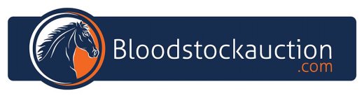 BLOODSTOCKAUCTION .COM
