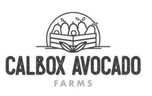 CALBOX AVOCADO FARMS