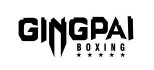 GINGPAI BOXING