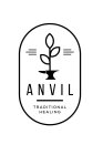 ANVIL TRADITIONAL HEALING