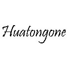 HUATONGONE