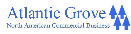 ATLANTIC GROVE NORTH AMERICAN COMMERCIAL BUSINESS