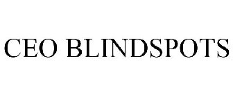 CEO BLINDSPOTS