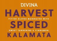 DIVINA HARVEST SPICED KALAMATA PITTED OLIVES MARINATED WITH SWEET TANGERINE & CINNAMON