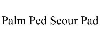 PALM PED SCOUR PAD