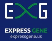 EXG EXPRESS GENE EXPRESSGENE.US