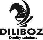 DILIBOZ QUALITY SOLUTIONS