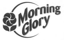 MORNING GLORY