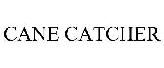 CANE CATCHER
