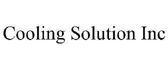 COOLING SOLUTION INC