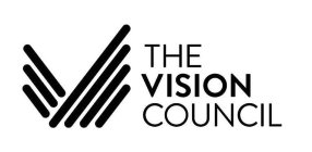 V THE VISION COUNCIL