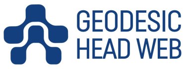 GEODESIC HEAD WEB