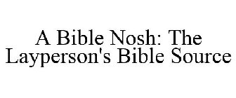A BIBLE NOSH: THE LAYPERSON'S BIBLE SOURCE