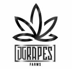 JGRAPES FARMS