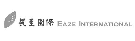 EAZE INTERNATIONAL