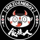 · SHIZUENERGY · 20 19