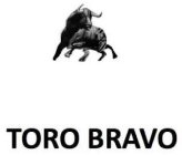 TORO BRAVO